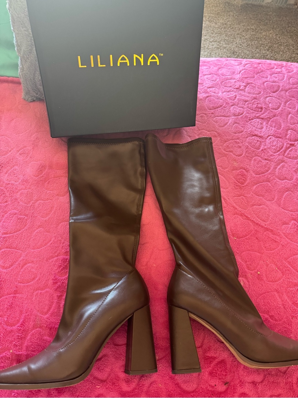 Liliana Chocolate Brown Knee-High Block Heel Boots